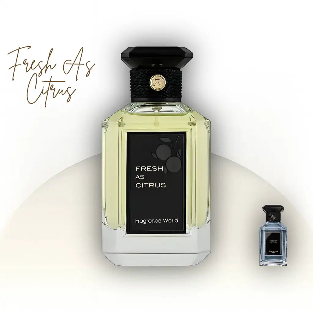 בושם Fresh As Citrus Fragrance World יוניסקס 100 מ״ל EDP | בהשראת Guerlain Frenchy Lavande | ניחוח הדרי־ארומטי עם לבנדר, נרולי ווטיבר