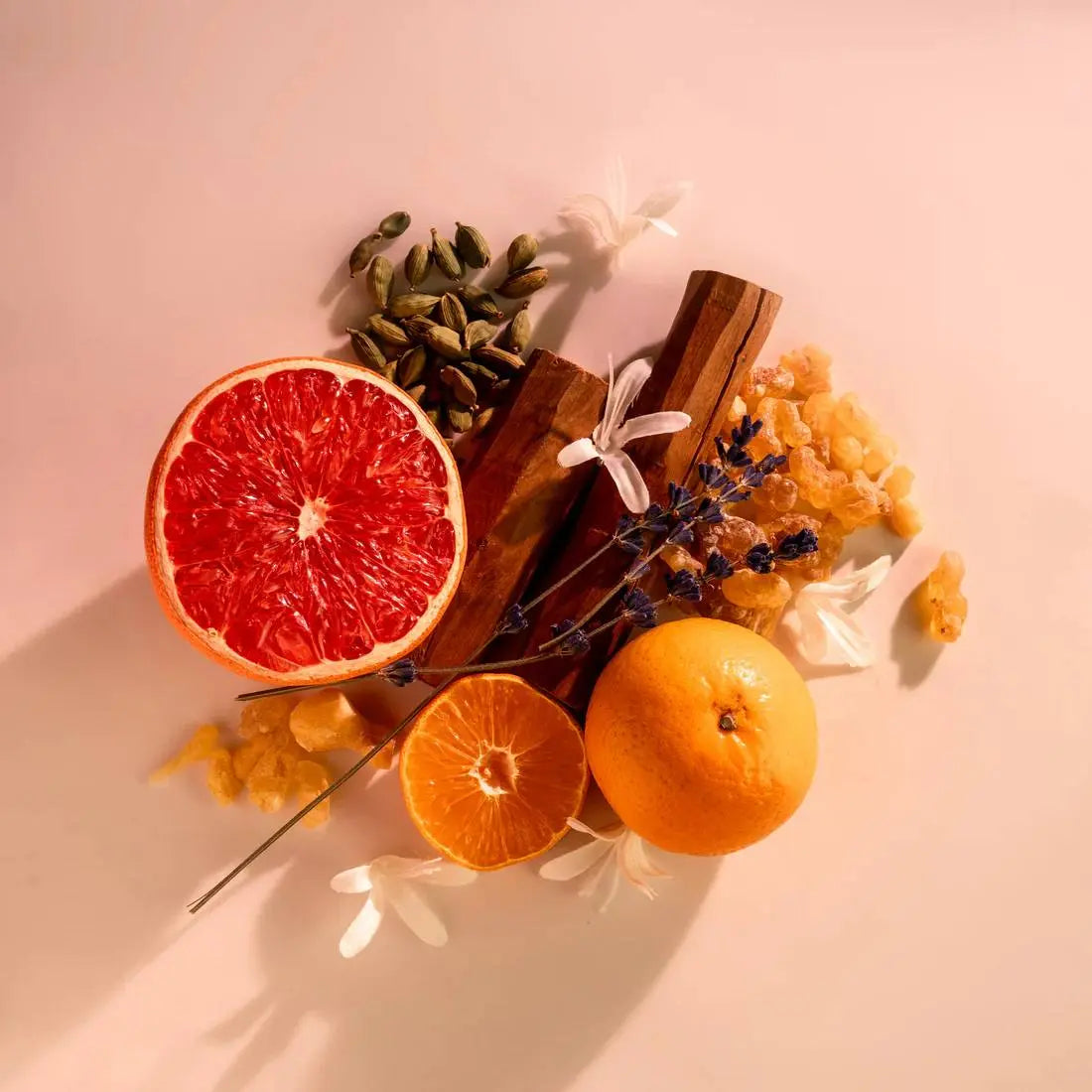 תווי הניחוח Nasaj Omanluxury – פירוט כללי של התווים