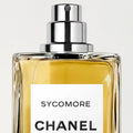 תקריב על הפקק המגנטי והמתז של Sycomore Chanel, איכות גימור ברמת פרימיום.